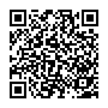 QR code for T395S