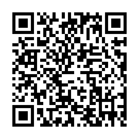 QR code for T409T