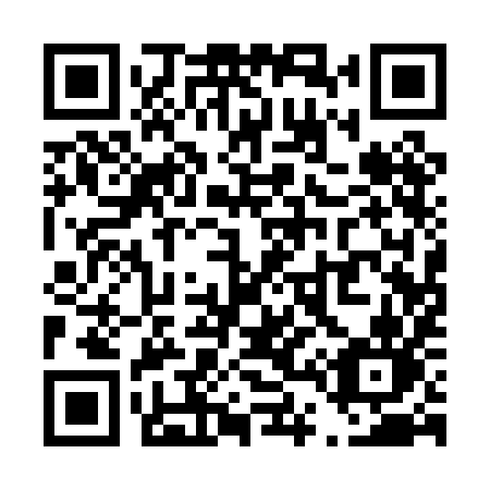 QR code for T41 0IN