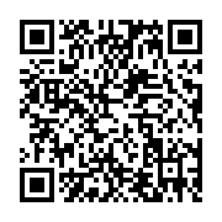 QR code for T410X