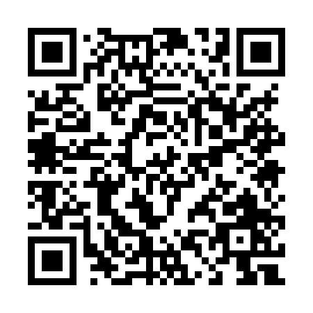 QR code for T418P