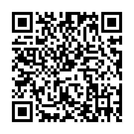 QR code for T419Z