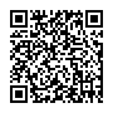 QR code for T420P