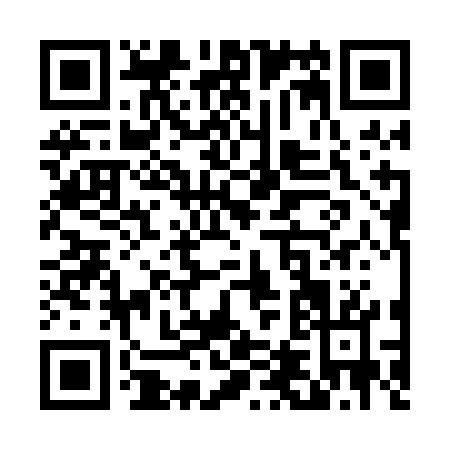 QR code for T430G