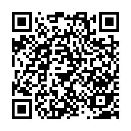 QR code for T433S