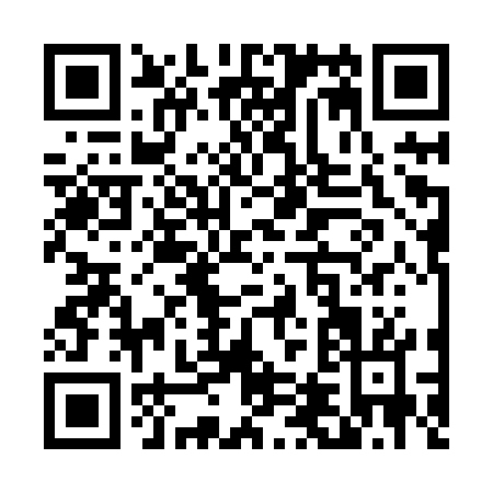 QR code for T438W
