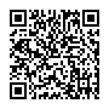 QR code for T441W