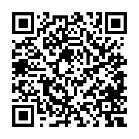 QR code for T446L