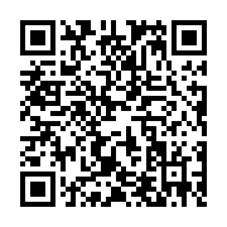 QR code for T450N