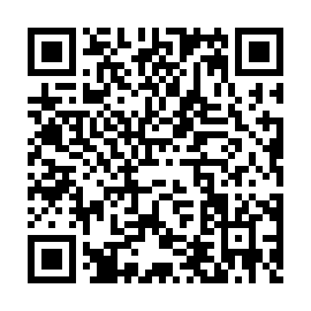 QR code for T453H