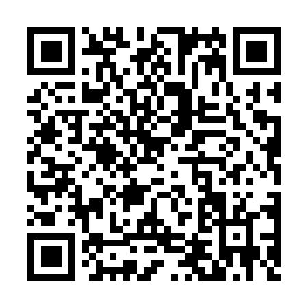 QR code for T453T