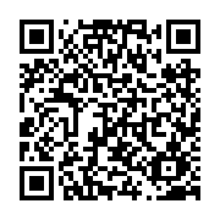 QR code for T46 2SN