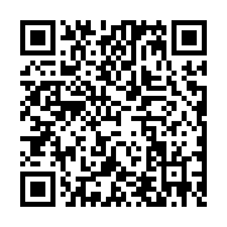 QR code for T461T