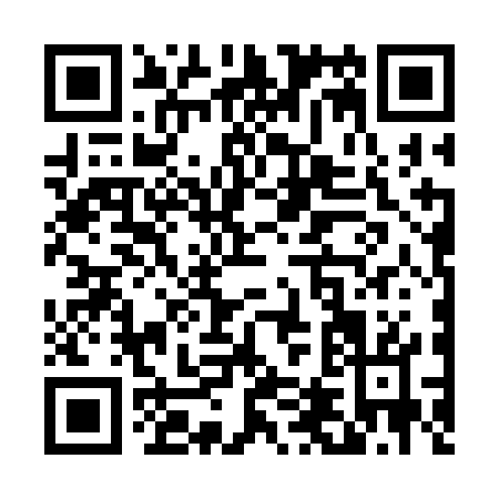 QR code for T463G
