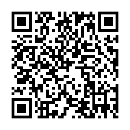QR code for T481P