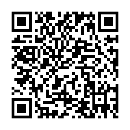 QR code for T489A