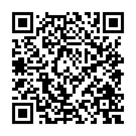 QR code for T489V