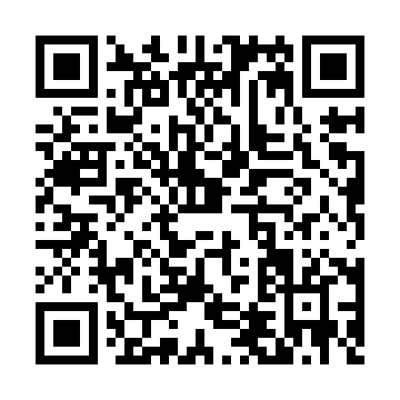 QR code for T489X