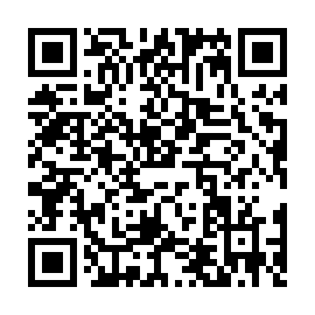 QR code for T490V