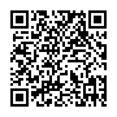 QR code for T490XI