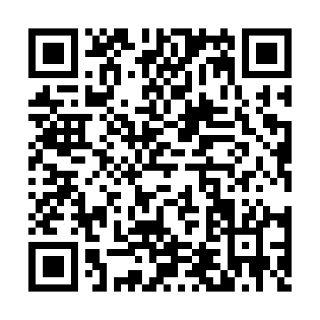 QR code for T493Q