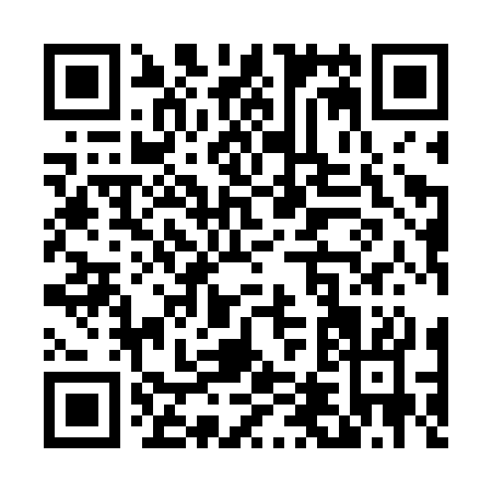 QR code for T496S