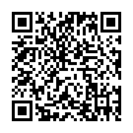 QR code for T497L