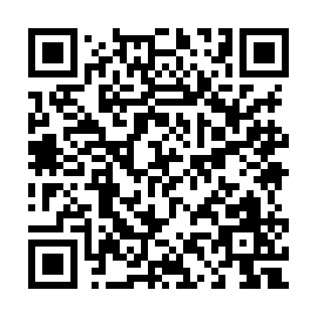 QR code for T498A