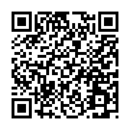 QR code for T500X