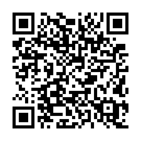 QR code for T507LE