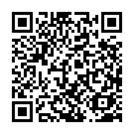 QR code for T509GH