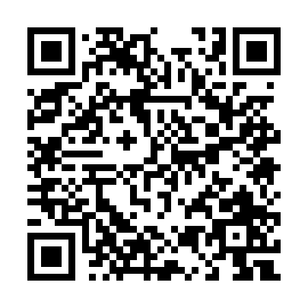QR code for T510P