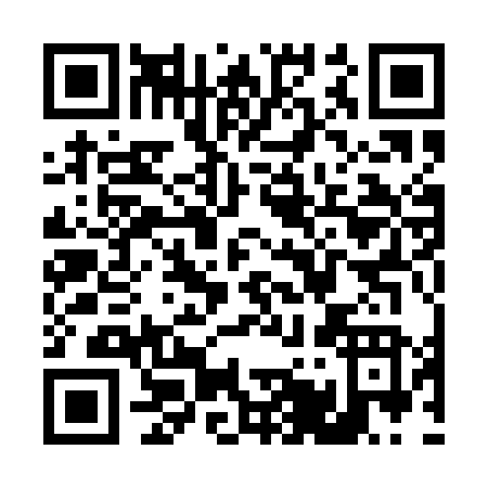 QR code for T511N