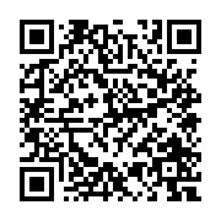 QR code for T511P