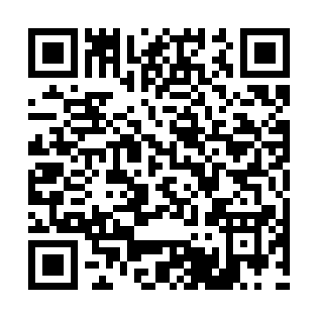 QR code for T513A