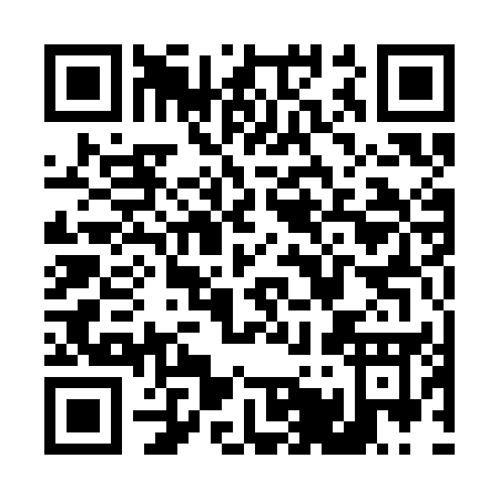 QR code for T513E