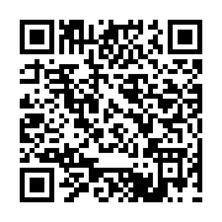 QR code for T517G
