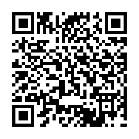 QR code for T519E