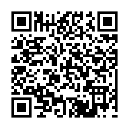 QR code for T529G