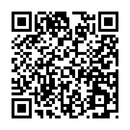 QR code for T529M