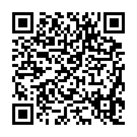 QR code for T533G