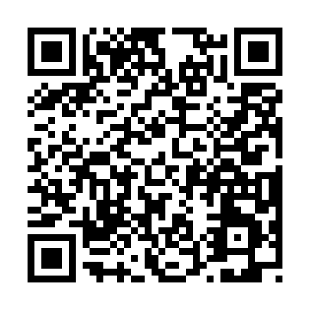 QR code for T535L