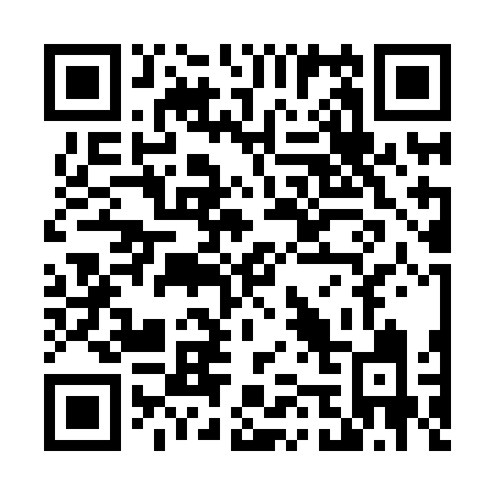 QR code for T538FI