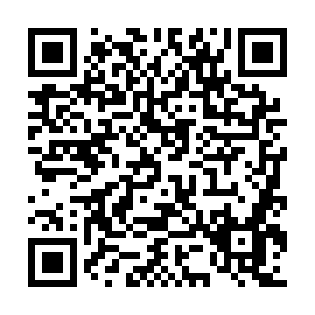 QR code for T541O