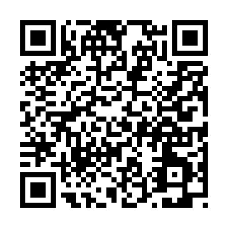 QR code for T550P