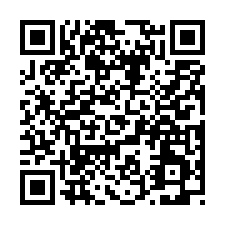 QR code for T575T