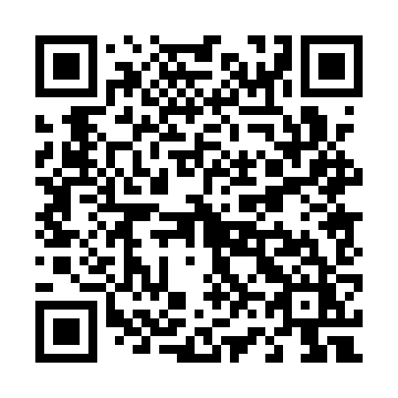 QR code for plate T60 1ZZ