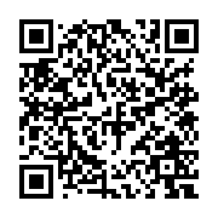 QR code for T638G
