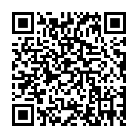 QR code for T655P