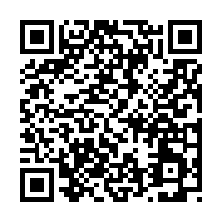 QR code for T666N